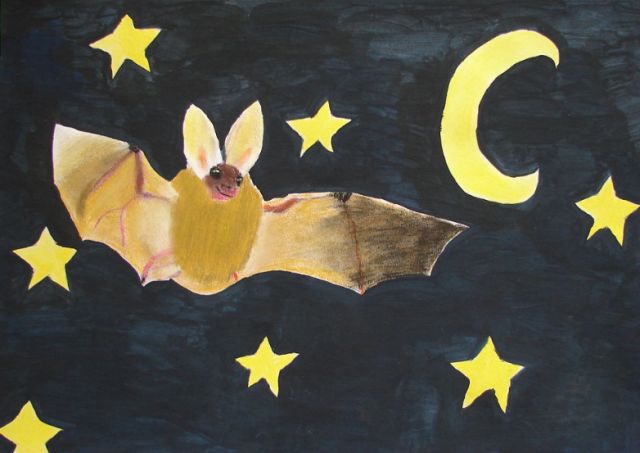 Soused netopýr - výtvarná soutěž pro děti z pražských škol (ceson.org)