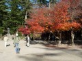 Čas pro návštěvu Koreje byl vybrán opravdu dobře - příjemné počasí, krásně zbarvené listí...
