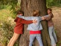 Chystaný Den stromů na Chaloupkách oslaví dřevo v jeho nejrůznějších podobách. (Ilustrační foto Martin Kříž)