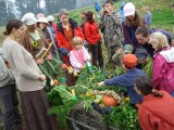 Mladí lidé s Tamjdemem (DUHA) pomáhali v Camhillu při sklizni zeleniny