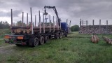 V keltském skanzenu v Nasavrkách můžete pomoci se stavbou některých objektů (příprava dřeva na stavbu brány)